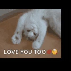 Meet your Posher, Lucy